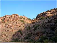 Grand Mesa Scenic Byway