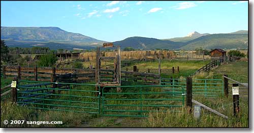 Grand Mesa Scenic Byway