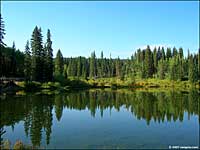 Grand Mesa Scenic Byway