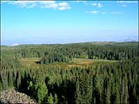 Grand Mesa Scenic Byway