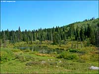 Grand Mesa Scenic Byway