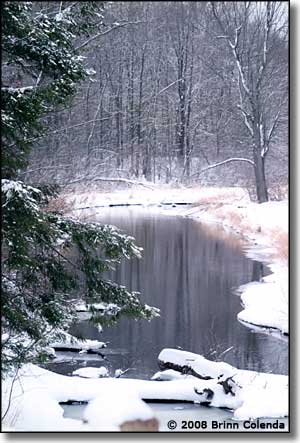 Snowy pond