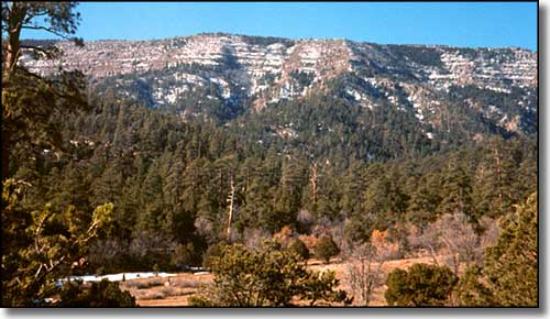 Manzano Mountain Wilderness