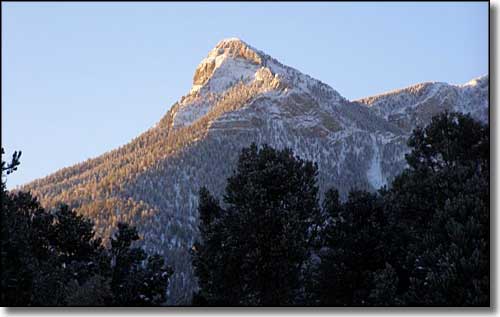 Mount Charleston Wilderness, Nevada