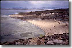 Walker Lake State Recreation Area