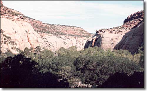 Looking up one of the canyons in Mesa Verde National Park