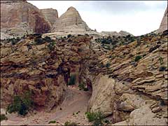 Grand Wash Narrows