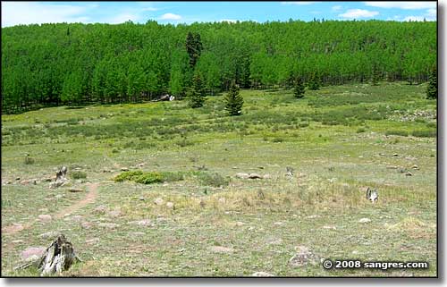 Bachelor Loop, Creede, Colorado