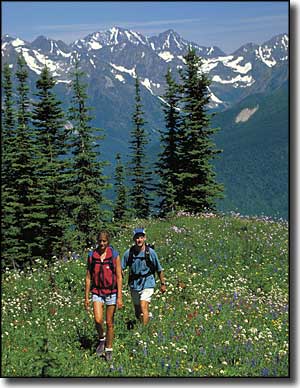 Hikers in the Selkirk Mountains