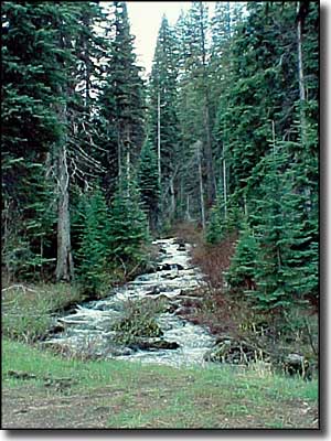 A stream along the Payette River Scenic Byway
