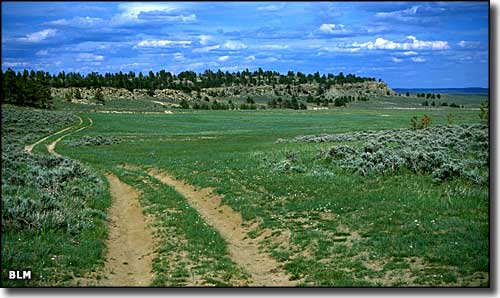 Acton Recreation Area, Montana