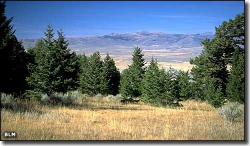 Centennial Mountains, Montana