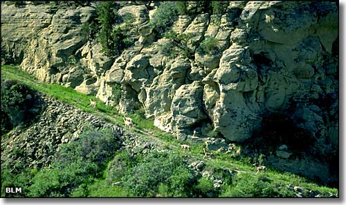 Four Dances Natural Area, Billings, Montana