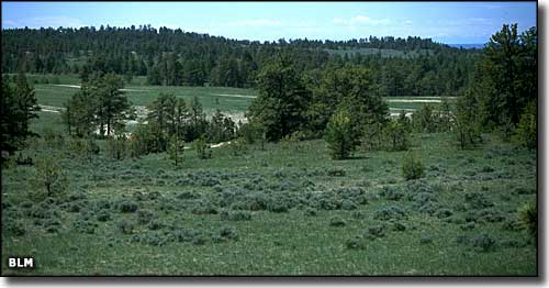 Shepherd Ah Nei Recreation Area