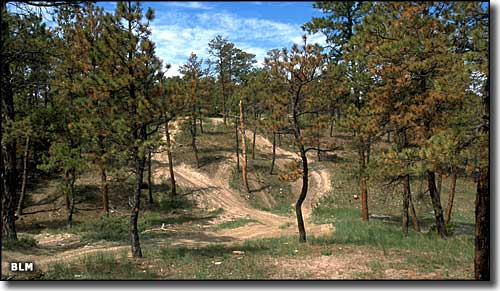 Shepherd Ah Nei Recreation Area, Montana