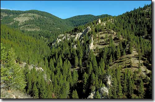 Gates of the Mountains Wilderness, Montana