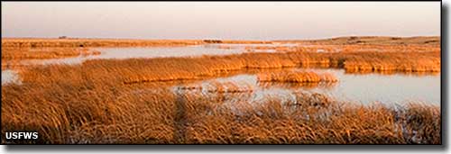 Medicine Lake National Wildlife Refuge, Montana