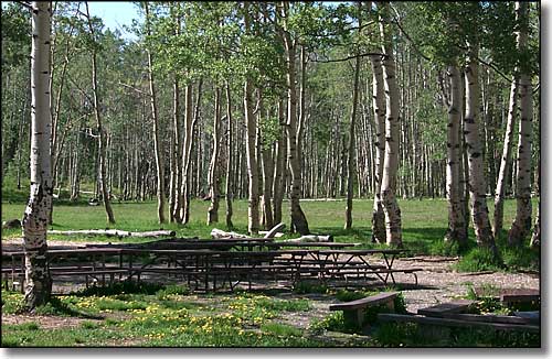 Dixie National Forest