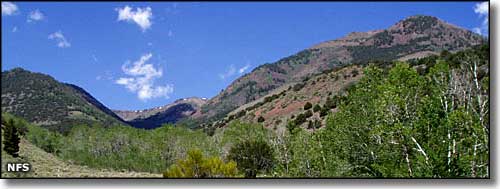 Alta Toquima Wilderness, Nevada