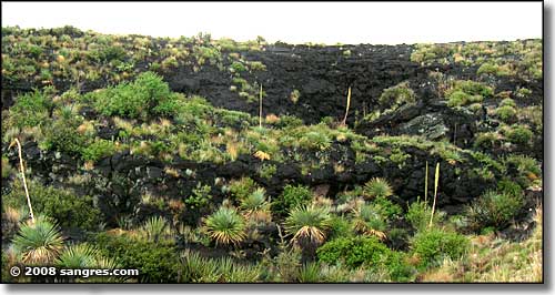 El Malpais National Conservation Area, New Mexico