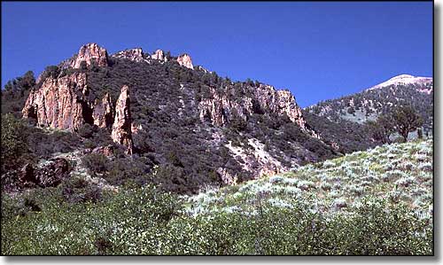 Snowslide Gulch, Jarbridge Wilderness, Nevada