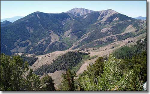 High Schells Wilderness, Nevada