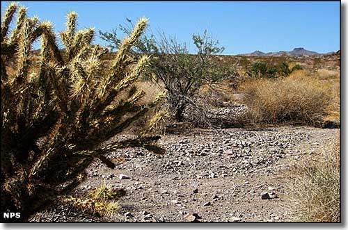 Nellis Wash Wilderness, Nevada