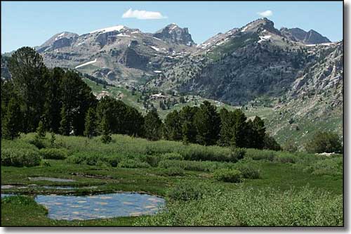 Kleckner Canyon, Ruby Mountains Wilderness, Nevada