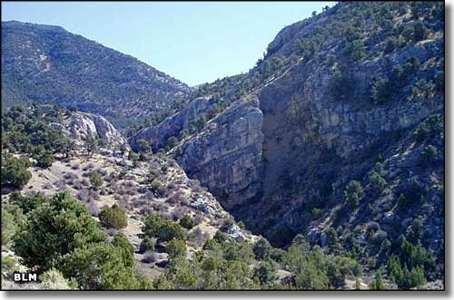 South Egan Range Wilderness, Nevada