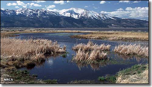 Washoe Lake State Park, Nevada