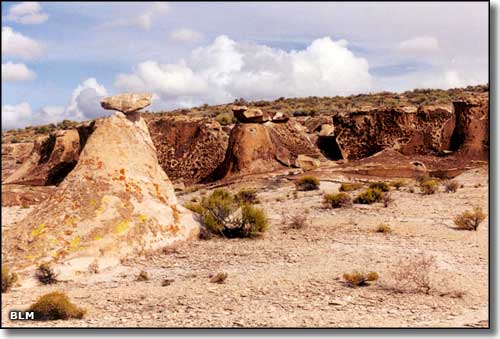 Weepah Spring Wilderness, Nevada