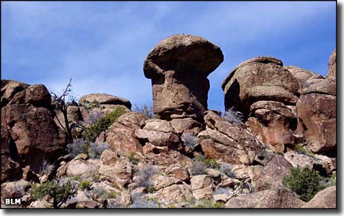 Big Rocks Wilderness, Nevada