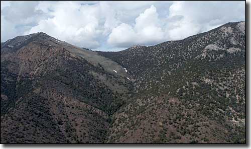 Bristlecone Wilderness, Nevada