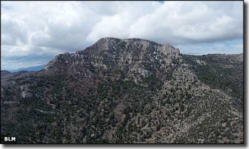 Bristlecone Wilderness, Nevada