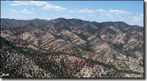 Clover Mountains Wilderness, Nevada