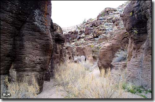 Delamar Mountains Wilderness, Nevada