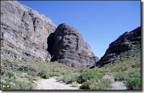 Meadow Valley Range Wilderness, Nevada