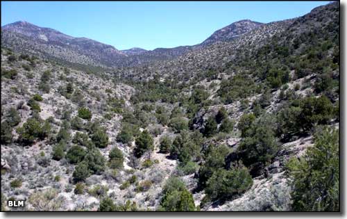 South Egan Range Wilderness, Nevada