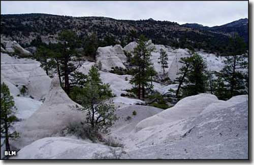 Tunnel Spring Wilderness, Nevada