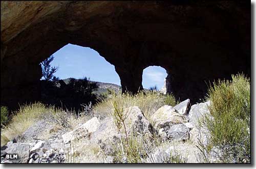 Weepah Spring Wilderness, Nevada