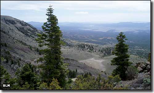 White Rock Range Wilderness, Nevada