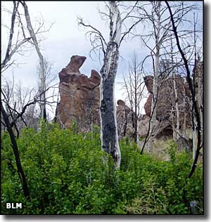 White Rock Range Wilderness, Nevada