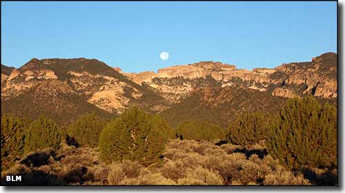 White Rock Range Wilderness, Nevada