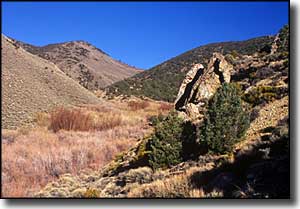 Dry Creek in the Boundary Peak Wilderness