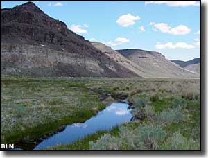 East Fork High Rock Canyon Wilderness