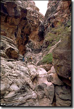 Rainbow Mountain Wilderness