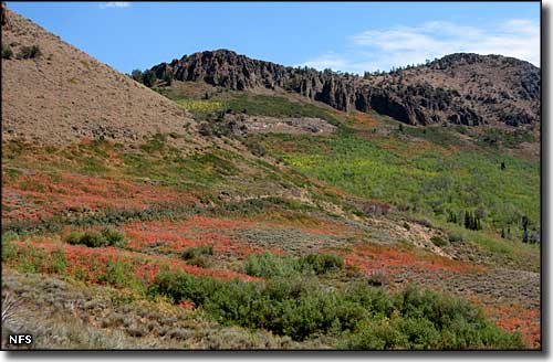 Jarbridge Wilderness, Nevada