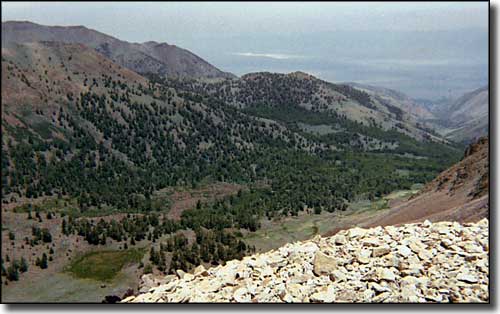 Round Mountain, Nevada