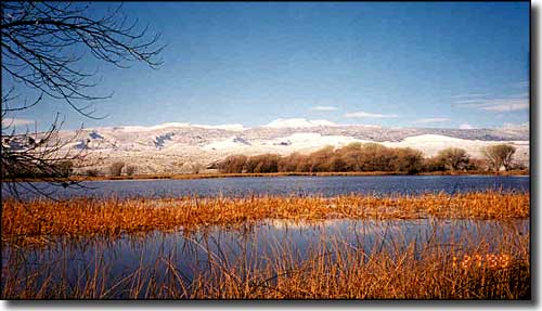 Pahranagat National Wildlife Refuge, Nevada