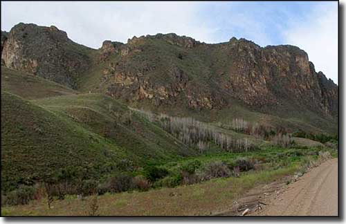 View along the Bruneau River Loop Back Country Byway